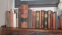 Photo of full row of 14 antique books with varied binding and wear.