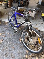Front side view of the blue and black Raleigh Tarantula mountain bike showing frame, handlebars, and tires.