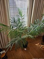 Front view of the 57 inch faux palm tree showing multiple green fronds and the black pot it sits in, positioned in front of a window with blinds and curtains.