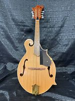 Full front view of mandolin showing body, strings, pickguard and overall shape