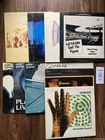 Photo showing all 12 vinyl record albums laid out on a wooden surface, includes albums by Peter Gabriel and Genesis. Visible covers include Spot the Pigeon, Invisible Touch, and others.