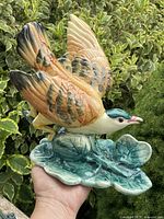 Left side view showing glazed colours, wings up, leaf base