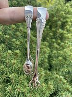 Front view showing both tongs, spoon and claw ends visible