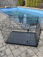 Black metal wire dog crate with plastic tray base sitting on stone patio by pool. Front door visible.