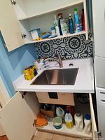 Photo of white kitchen cabinet above and below a stainless steel sink area showing cleaning supplies including spray bottles, towels, and small cleaning containers on the shelves