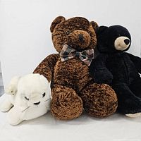 Photo showing three stuffed animals: brown teddy bear with plaid bow tie, black teddy bear, and cream-colored seal plush.