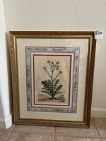 Framed vintage botanical print showing colored plant illustration and triple mat in gold ornamental frame.