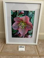 Framed photograph of a pink flower bloom with green leaves in a white frame on tiled floor.