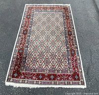 Top-down view of entire rug laid flat on asphalt