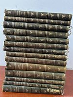 Stacked spines of 14 volumes showing gold embossed titles and decorative elements on kid leather bindings with some wear.