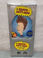 Front of sealed Beavis and Butt-Head DVD box set with cartoon of Beavis on silver background.