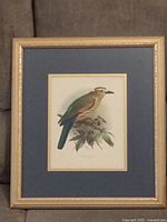 Framed print showing a colorful bird on a branch within a blue mat and wood frame.