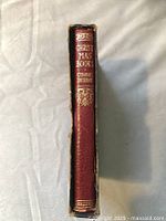 Spine of book showing red leather binding with gold lettering and decoration.