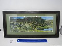 Full front view of framed nature image with wolves and buffalos. Black frame, green matting, reflections on glass.