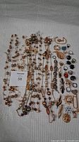 Photo showing the full assortment of jewelry items including necklaces, rings, earrings, and brooches arranged on a fabric surface.