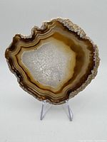 Front view of agate slice showing banded coloration and crystalline center