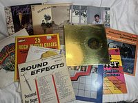 Photo showing the entire vinyl record collection laid out, displaying various albums including Prince and the Revolution Purple Rain, Blood Sweat & Tears, Certified Gold edition, sound effects, and various others.