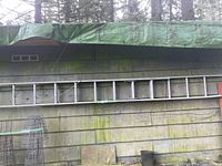 Aluminum extension ladder leaning against a wall outdoors, showing full length and overall condition.