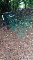 Viewed from an angle showing black plastic composter and green metal fencing panel with vegetation background.