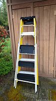 Werner 5-foot fiberglass ladder and white metal step ladder leaning against wooden fence, showing full height and side details.
