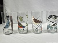 Front_view_of_all_4_clear_highball_drinking_glasses_with_different_stylized_bird_graphics_in_multicolor_prints