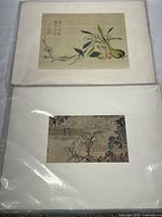 Two unframed scenic landscape prints wrapped in protective plastic, positioned one above the other showing botanical and landscape themes.