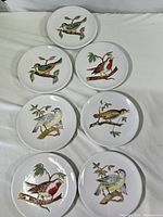 Set of 7 colorful Italian ceramic plates with bird motifs displayed on a white surface, showing all designs.