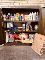 Full shot of cabinet with assorted spray paints, tools, charcoal, garden bags, clamps, glue, and boxed items.