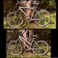 Men’s Raleigh Summit bike side view against tree showing front suspension, frame decals, tires