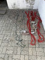 Four stretched out rope light strands laid on pavement; two in red mesh tubing and two in clear/white tubing with visible attached cords and plugs.