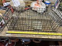 Medium-sized rectangular metal wire mesh animal trap cage with handle, placed on a wooden surface with a yellow measuring tape showing approximately 19 inches length.