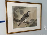 Framed bird print artwork depicting a hawk or falcon on a tree branch with leaves, mounted in a bamboo style gold frame.
