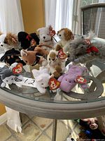 View of 11 Ty Beanie Babies and Teenie Babies, various cats and dogs, all with intact Ty heart-shaped tags