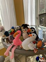 Photo showing 8 different Ty Beanie Babies bird plush toys arranged on a glass table. Visible birds include a colorful puffin, a pink flamingo, a white pelican, and a brown owl.