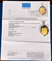 Appraisal certificate from Facets Gem Services showing pendant photo, measurements and value