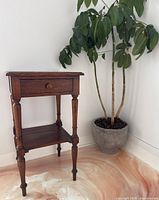 Full view of the vintage Federal style two-tier side table with drawer, next to a large houseplant for scale.