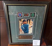 Full view of the framed photo and pins in black and gold frame with green mat