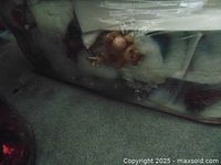 Dark image showing transparent plastic bag containing assorted Christmas ornaments including a teddy bear figurine and various shiny ornaments.