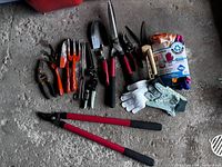 Photo showing various gardening tools including hand pruners, trowels, cultivators, hedge shears, and several pairs of gloves.