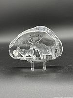 Crystal engraved plaque showing a moose and calf in a naturalistic engraved setting, clear crystal with curved irregular shape.