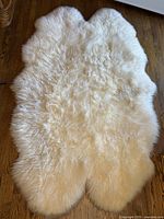 Full view of creamy white sheepskin rug on wood floor showing natural shape and dense wool fibers.