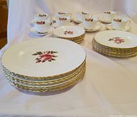 Full view of the plates and cups showing eight sets arranged with a clear view of the gold trim and rose design.