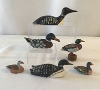 Photo showing complete collection of 2 loons and 6 ducks arranged on clear acrylic stands, showcasing size and variety