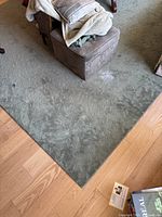 Green area carpet showing leafy pattern and small visible stains near ottoman and seating area.