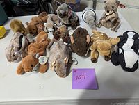 Full view of all 12 TY Beanie Babies arranged on a table showing various species including beaver, chipmunk, deer, raccoon, badger, skunk, buffalo, and others, each with original TY tags attached.