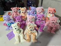 Front view showing 12 TY Beanie Babies bears arranged in rows with tags visible on each bear.
