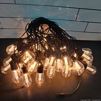 Image showing the full string of about 50 lit, clear bulb-shaped LED lights with visible filaments on dark cable, dimly lit room.