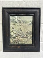 Front view of vintage framed colored picture of fish underwater by Bob Hines with black wooden frame showing wear