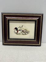 Full frontal view of framed engraving showing shelduck and ducklings swimming.