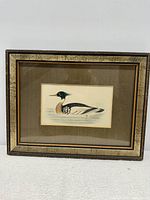 Full front view of the framed Red-Breasted Merganser bird print showing the entire frame and matting.